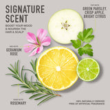 3-Step System: Shampoo, Conditioner & Leave-In