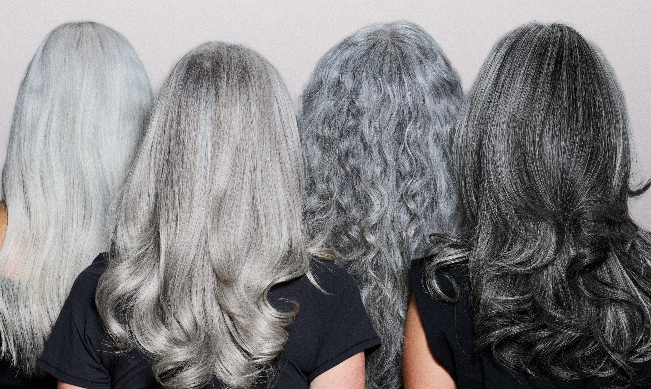Four models showing the backs of their heads, demonstrating multiple shades of natural silver hair