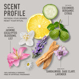 Clarity Reset Demineralizer Pre-Shampoo